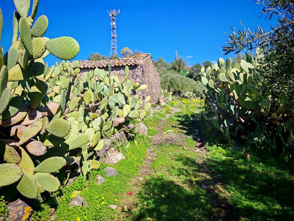 immagine annuncio 8 di 12