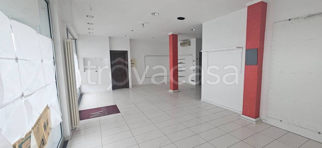 immagine annuncio 2 di 7