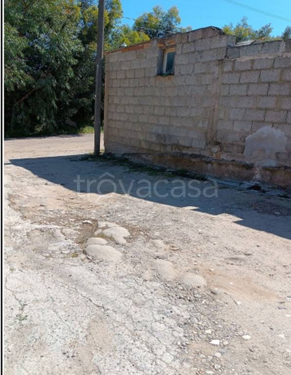 immagine annuncio 4 di 14