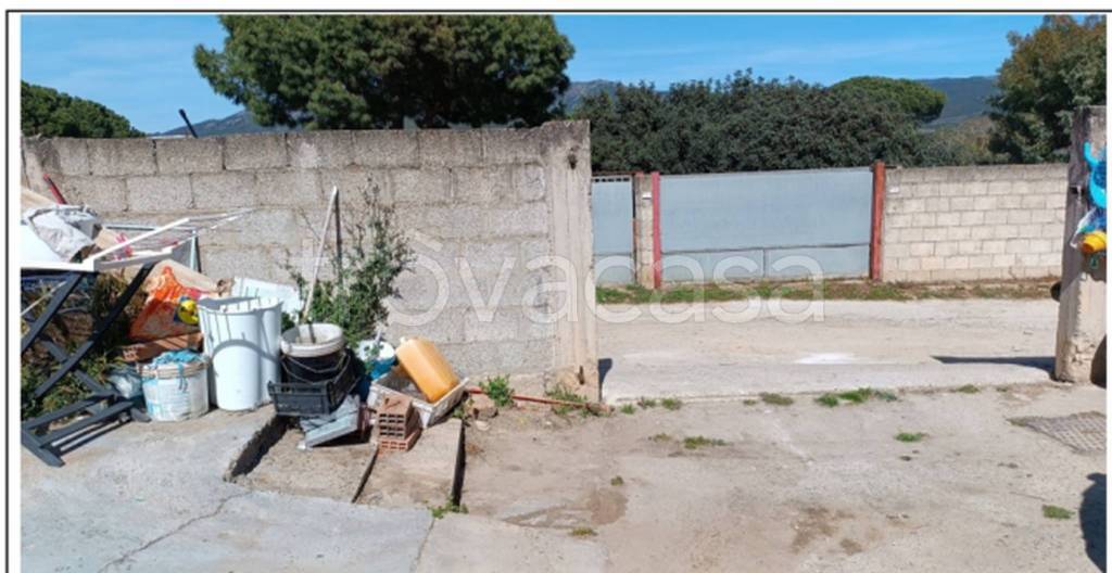 immagine annuncio 5 di 14