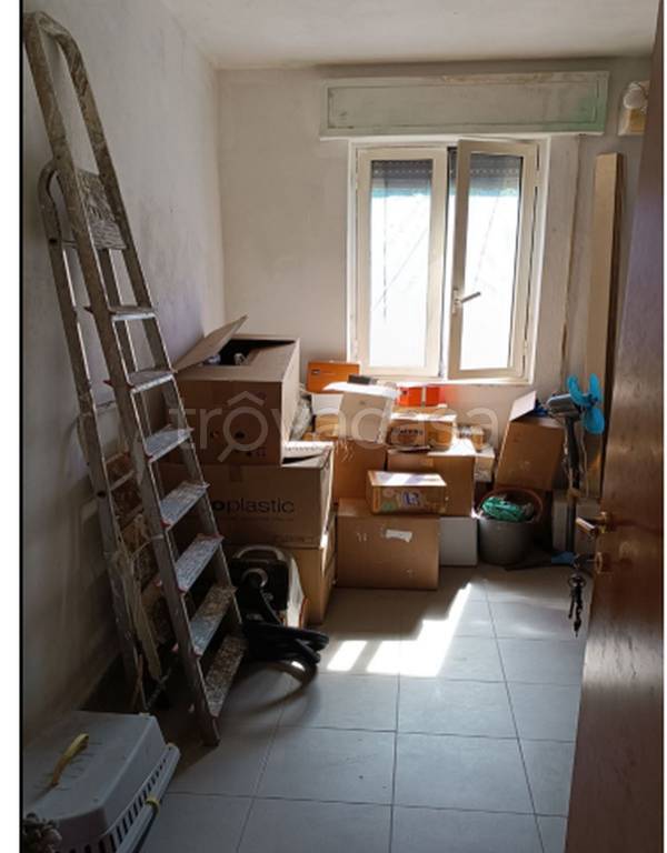 immagine annuncio 12 di 14