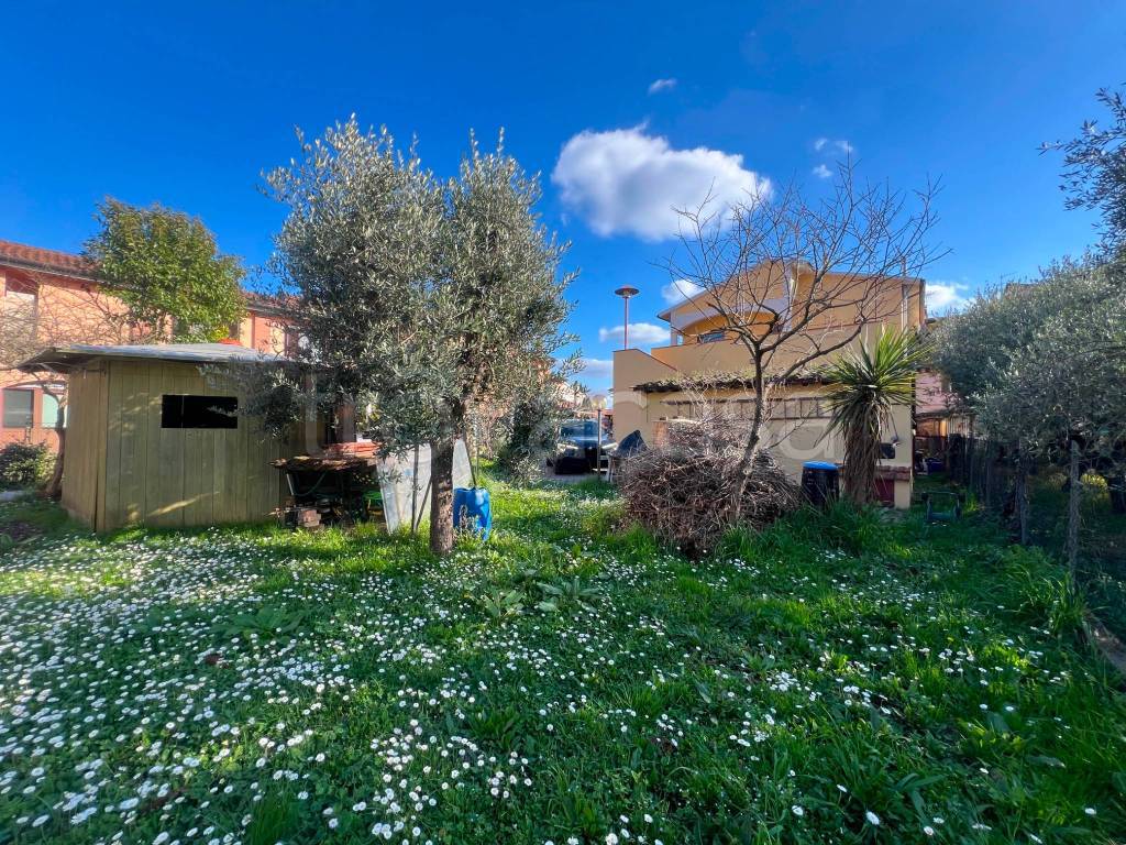 immagine annuncio 10 di 15