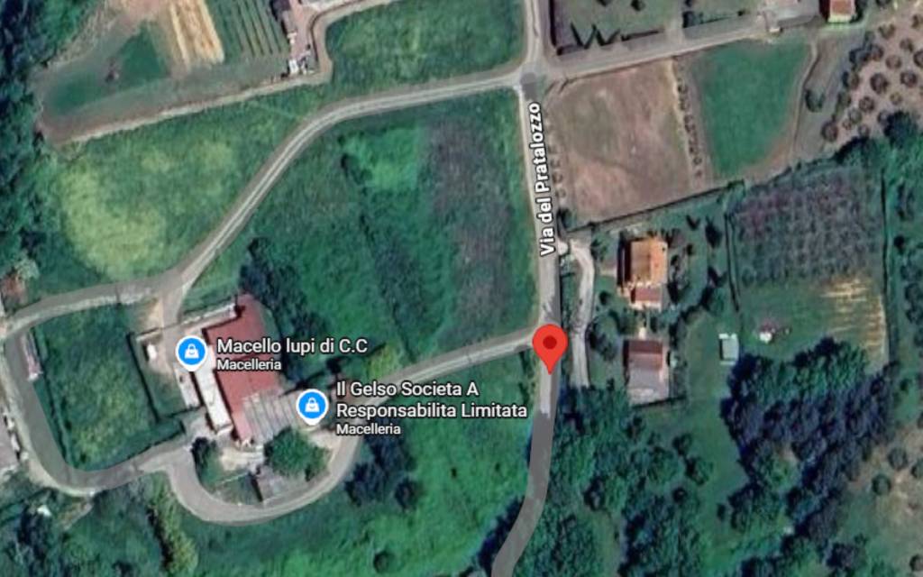 immagine annuncio 7 di 11