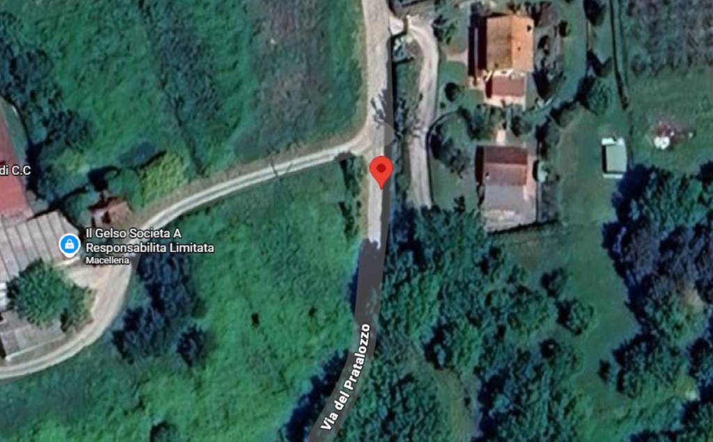 immagine annuncio 2 di 11