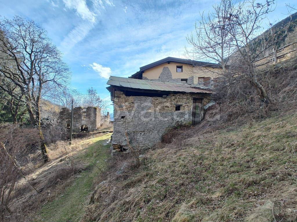immagine annuncio 11 di 15