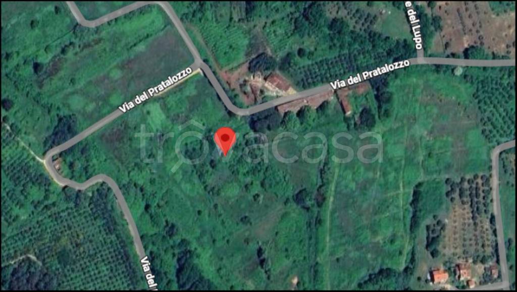 immagine annuncio 11 di 12