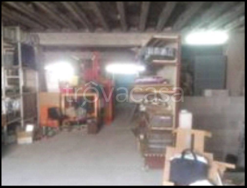 immagine annuncio 2 di 12