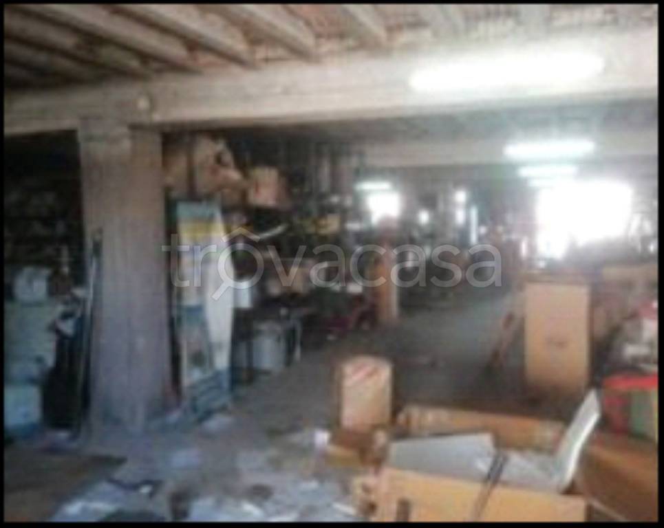 immagine annuncio 6 di 12