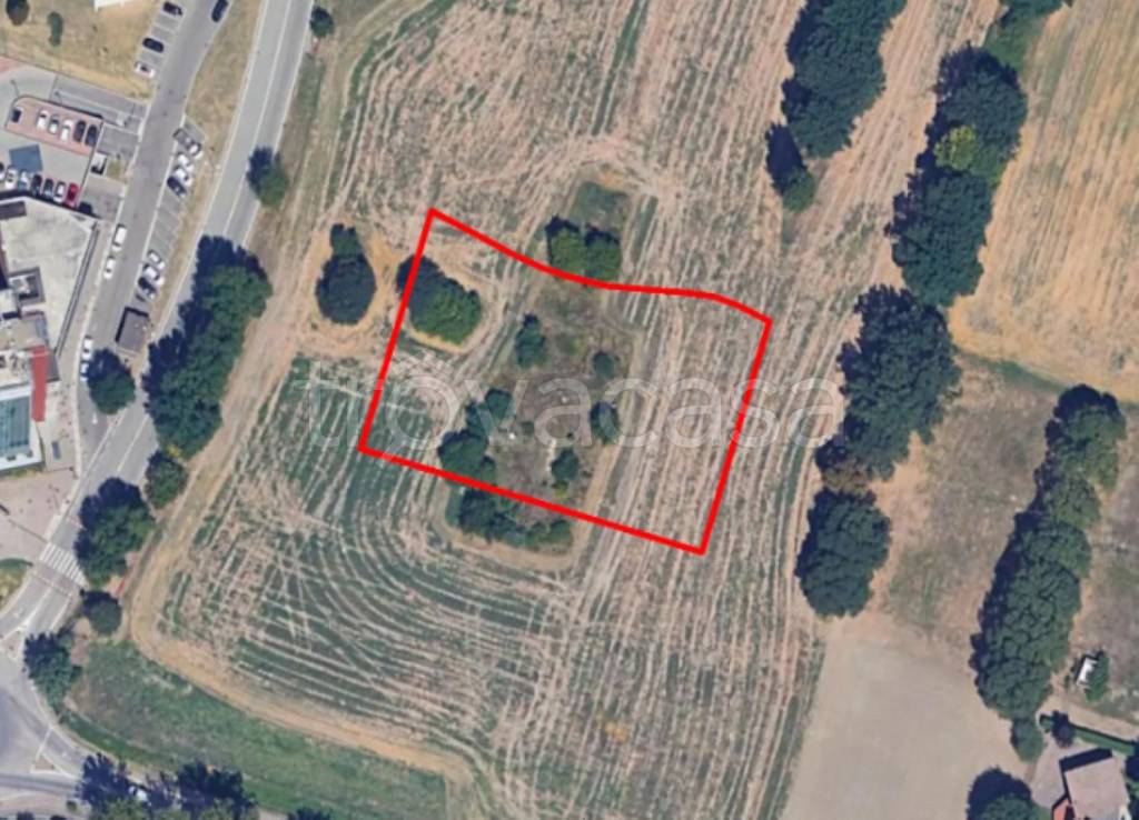 immagine annuncio 8 di 11