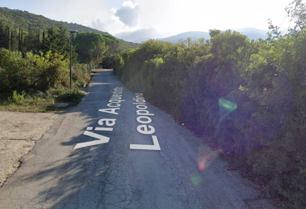 immagine annuncio 3 di 13