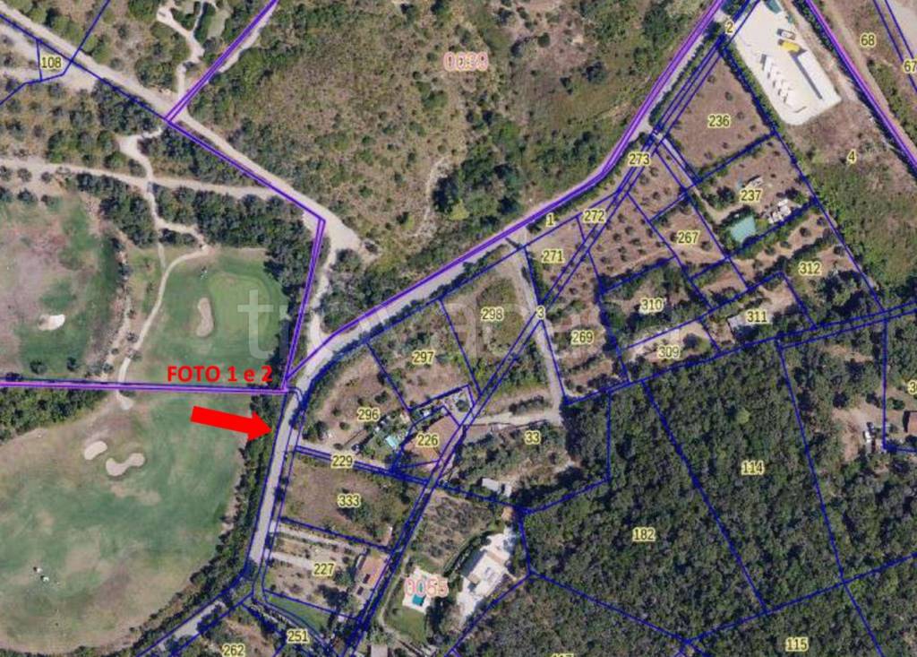 immagine annuncio 9 di 13