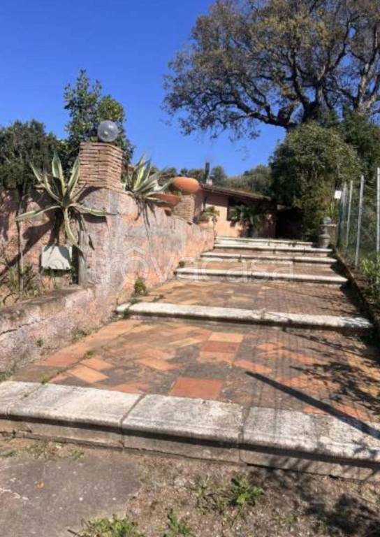 immagine annuncio 10 di 13