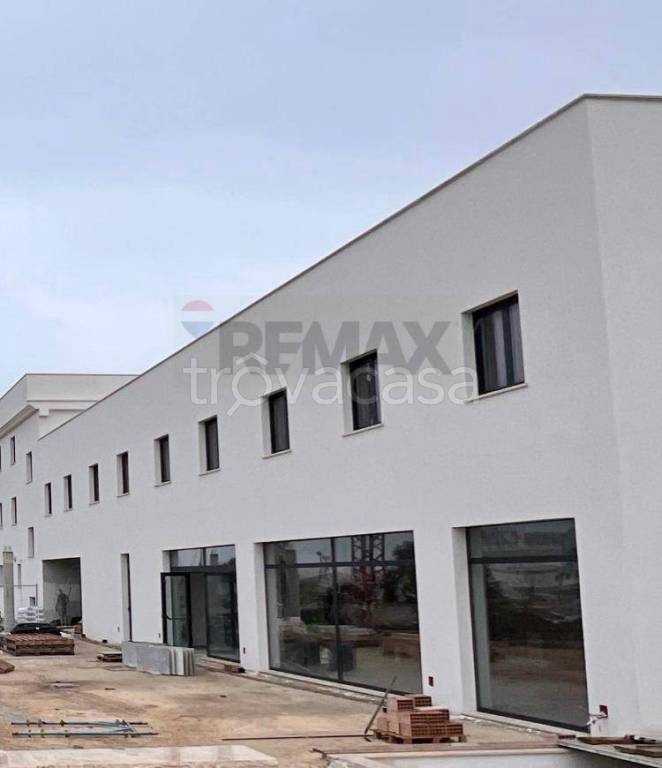 immagine annuncio 3 di 7