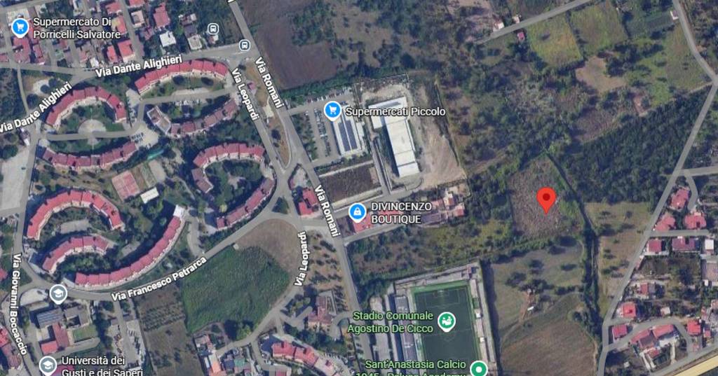 immagine annuncio 2 di 10