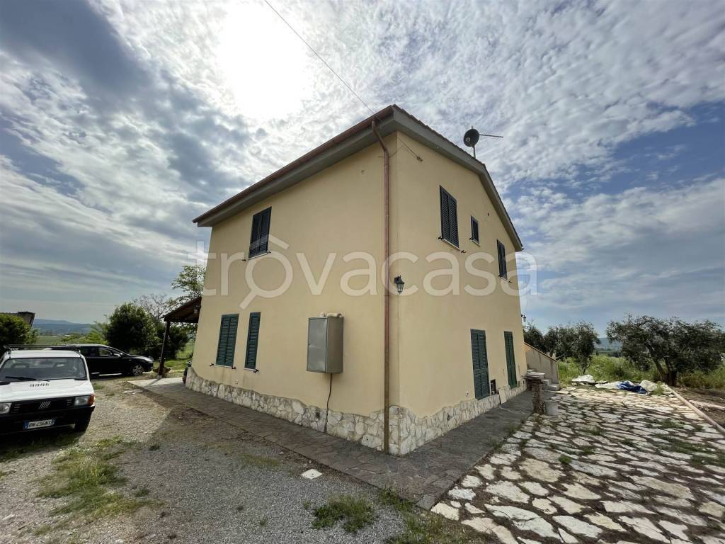 immagine annuncio 2 di 9