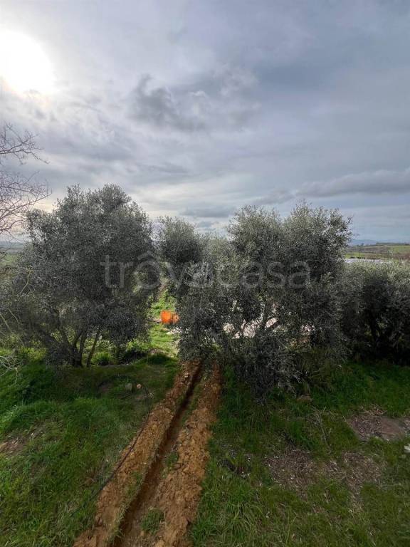 immagine annuncio 7 di 9