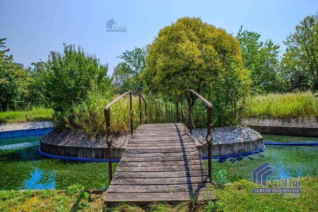 immagine annuncio 3 di 12