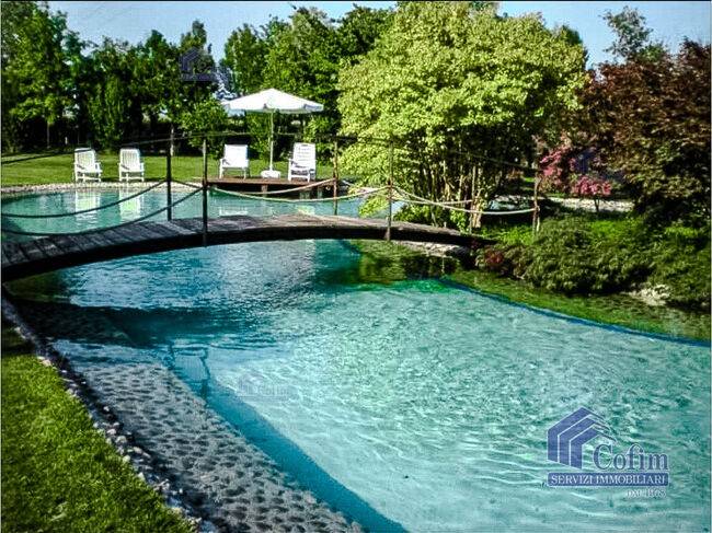 immagine annuncio 4 di 12