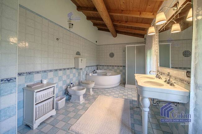 immagine annuncio 11 di 12