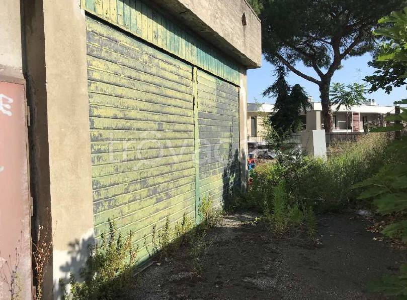 immagine annuncio 2 di 14