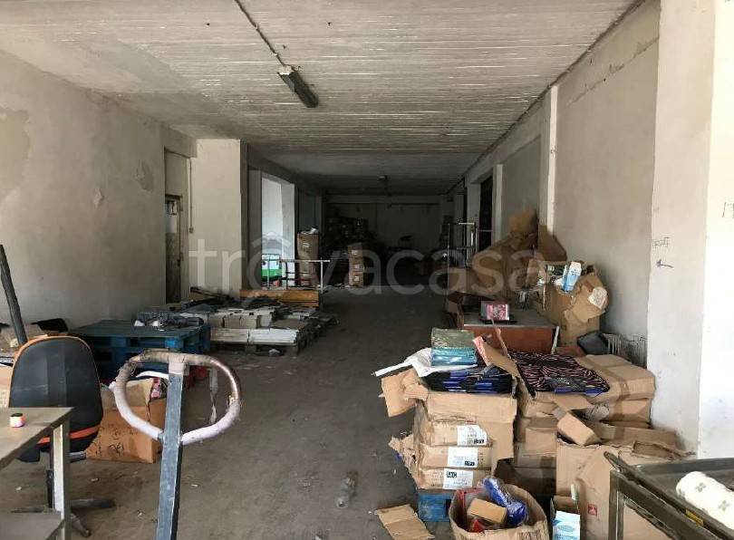 immagine annuncio 4 di 14