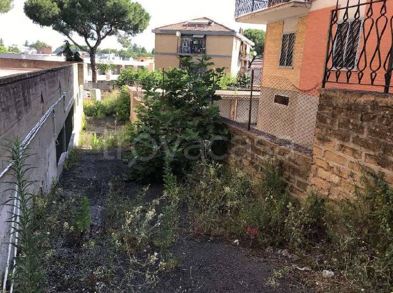 immagine annuncio 5 di 14