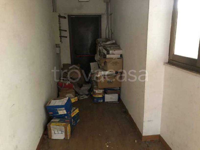 immagine annuncio 6 di 14