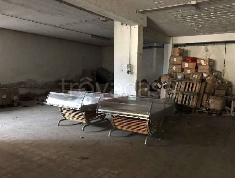 immagine annuncio 11 di 14