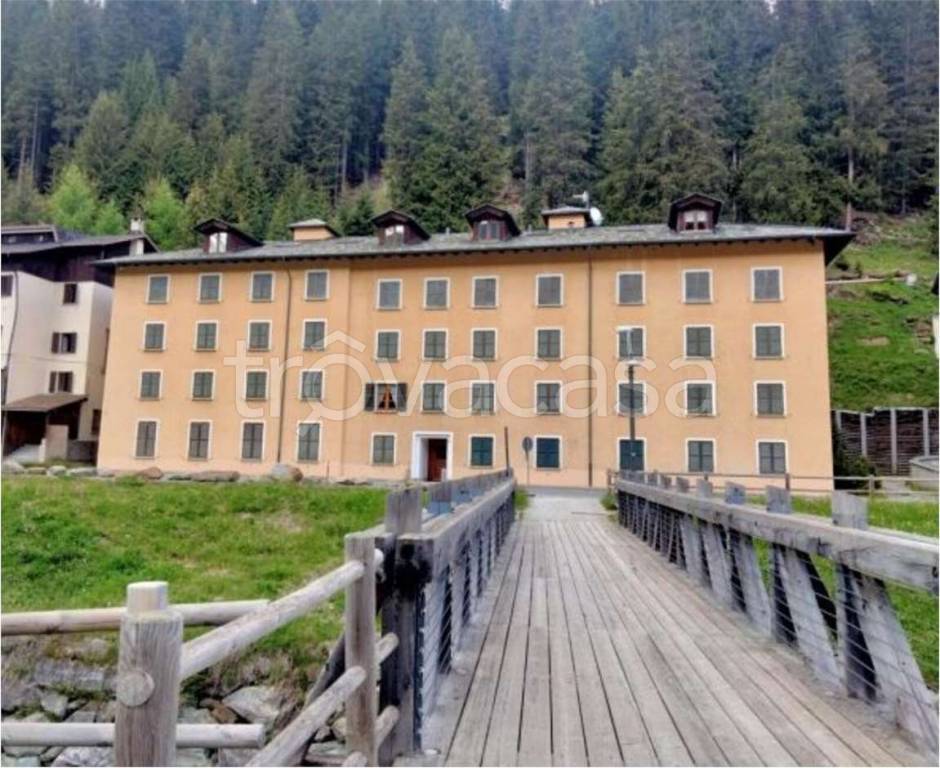 immagine annuncio 1 di 12