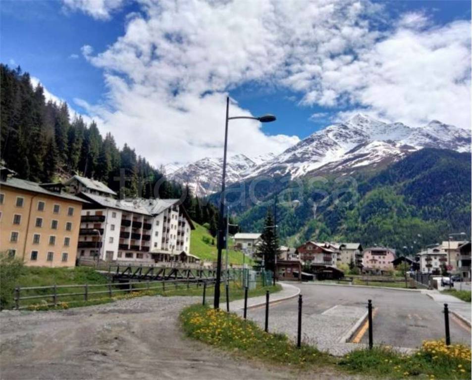 immagine annuncio 2 di 12