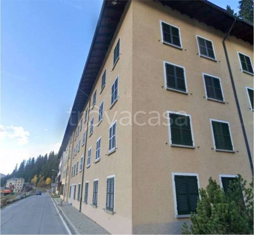 immagine annuncio 4 di 12