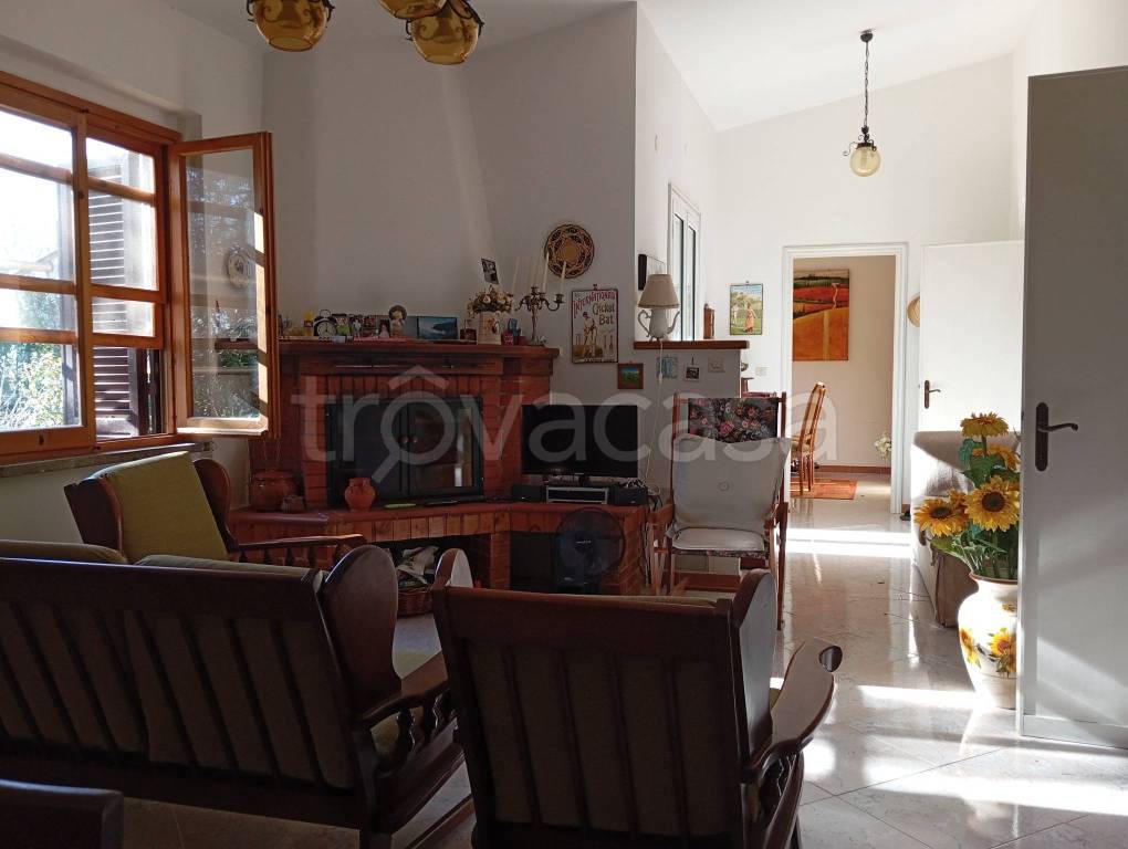 immagine annuncio 2 di 6