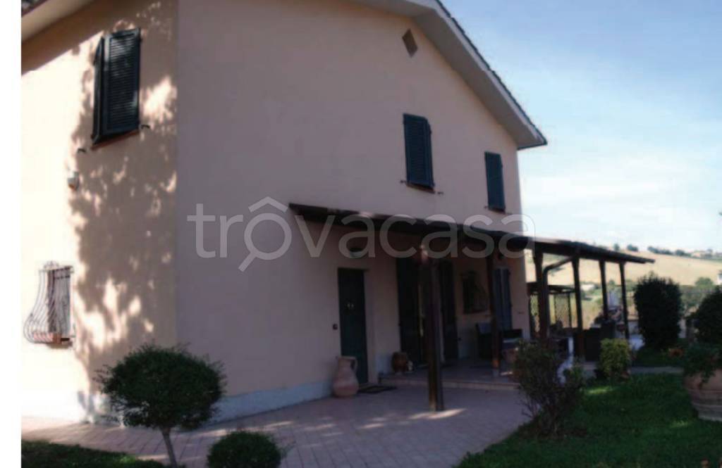 immagine annuncio 2 di 11