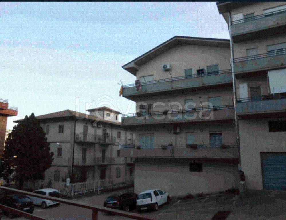 immagine annuncio 7 di 11