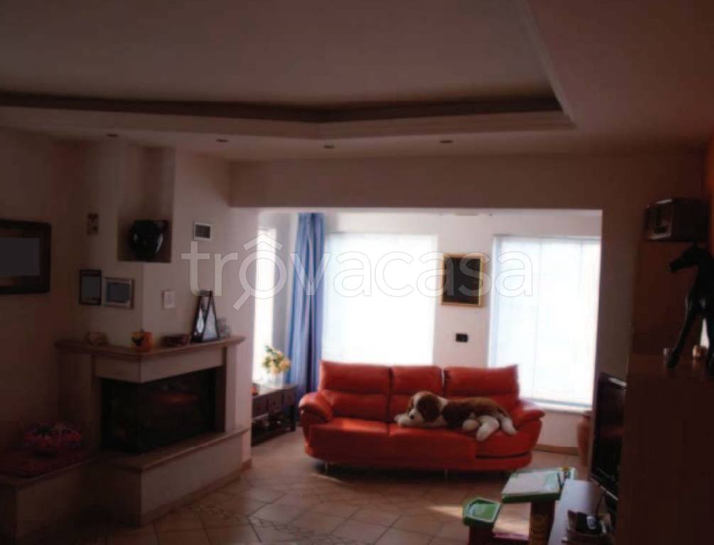 immagine annuncio 5 di 11