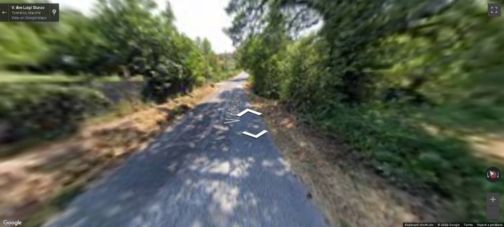 immagine annuncio 7 di 11