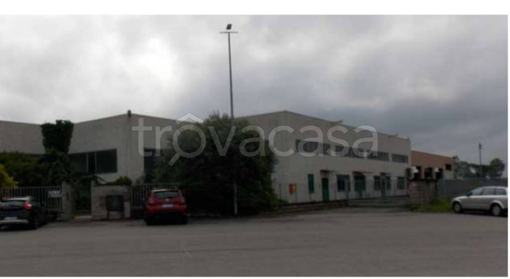 immagine annuncio 2 di 12