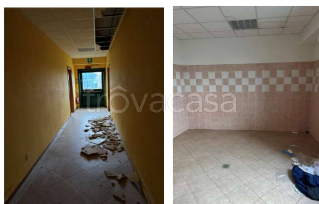 immagine annuncio 4 di 12