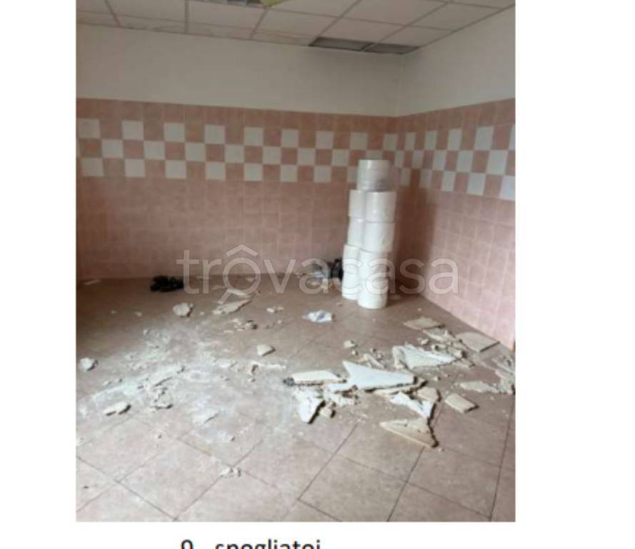 immagine annuncio 10 di 12