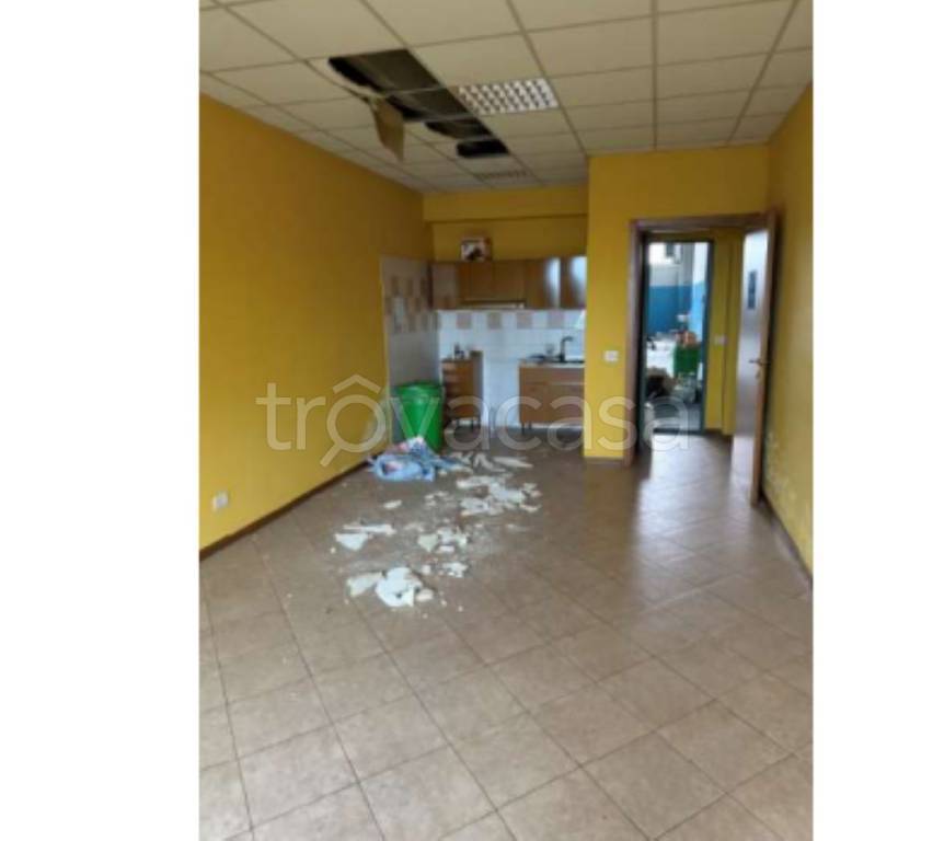 immagine annuncio 11 di 12