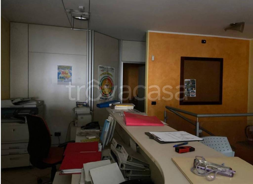 immagine annuncio 4 di 11