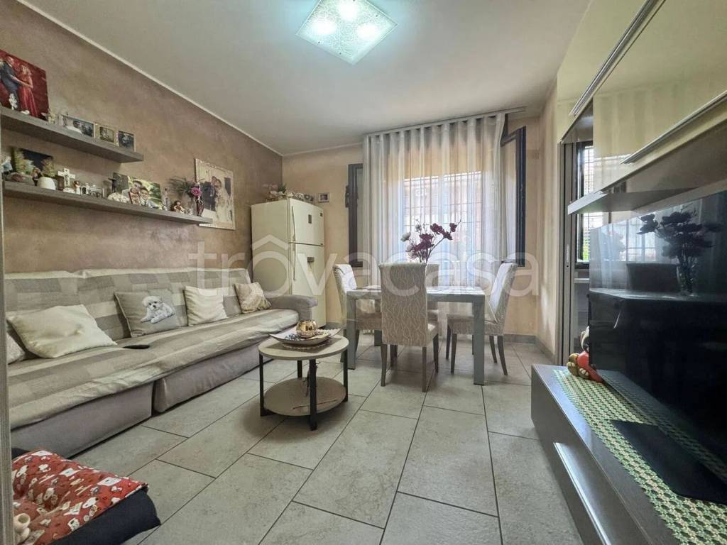 immagine annuncio 1 di 13