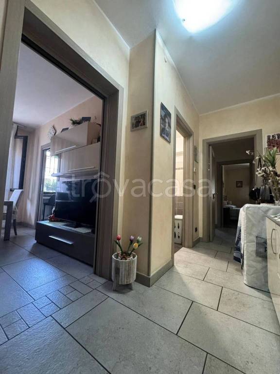 immagine annuncio 5 di 13