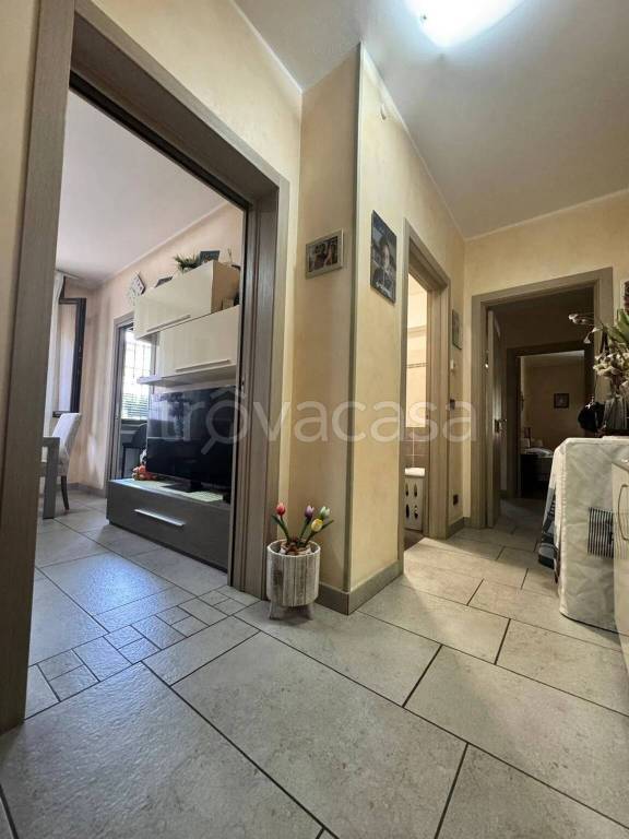 immagine annuncio 6 di 13