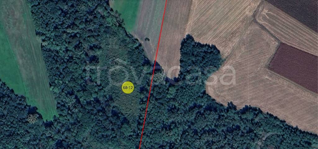 immagine annuncio 11 di 12