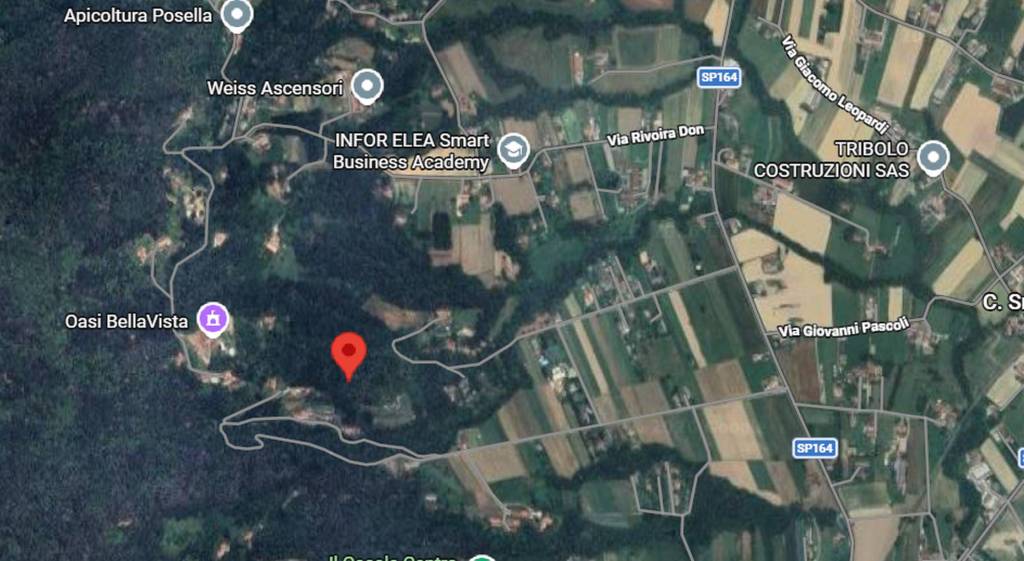 immagine annuncio 3 di 11