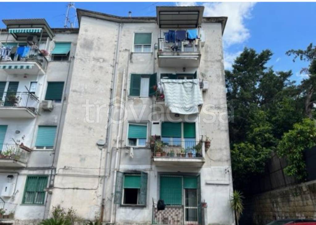 immagine annuncio 9 di 14