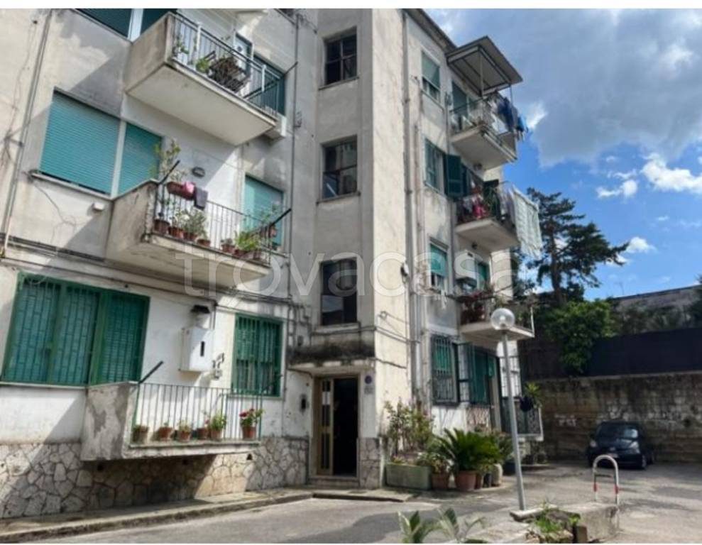 immagine annuncio 10 di 14