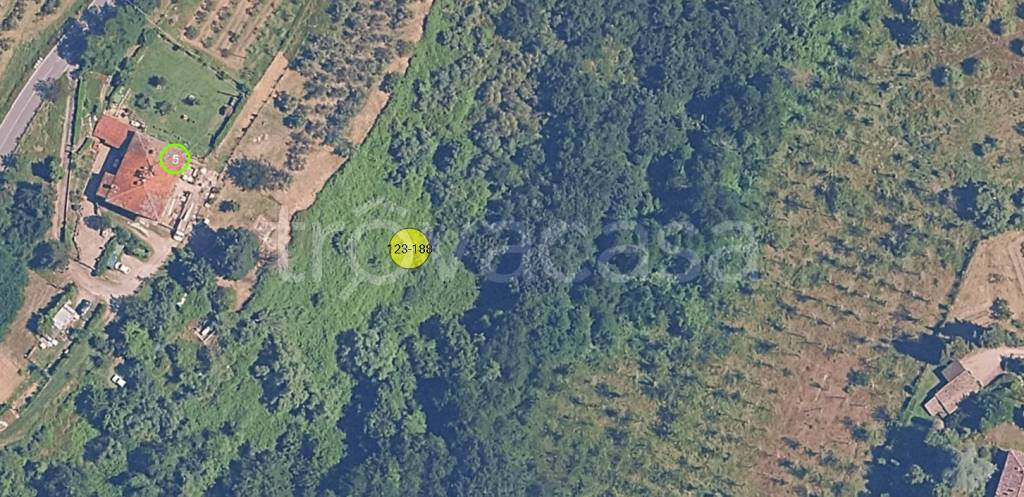 immagine annuncio 11 di 12