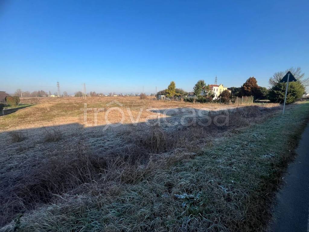 immagine annuncio 3 di 4